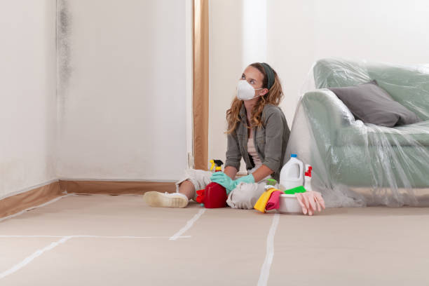Reliable Mold Remediation contractor in High Bridge, WA by 24 Hour Mold Removal