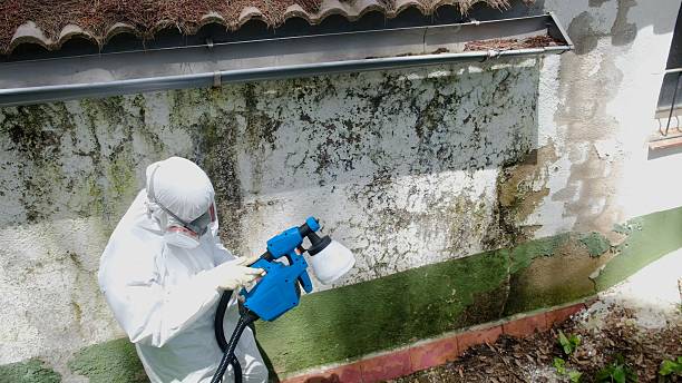 Top rated local Mold Remediation specialists in High Bridge, WA